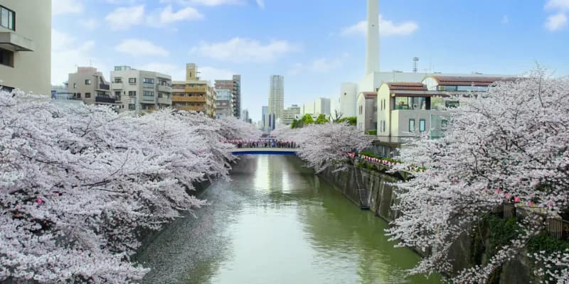 Meguro Ward