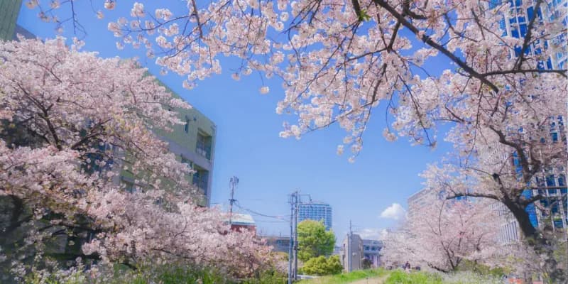 Setagaya Ward