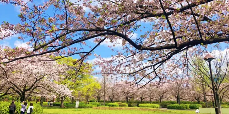 Sumida City