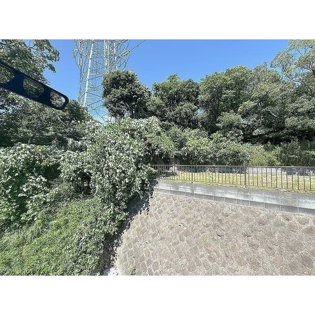 Room image 15