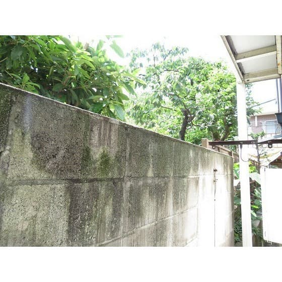 Room image 16