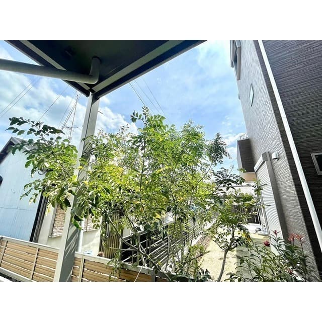 Room image 11