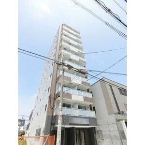 Room Image 2245529