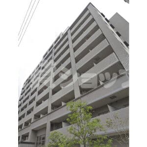 Room Image 2226562