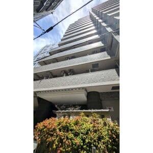 Room Image 2224269