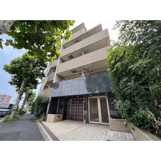 Room Image 203119798