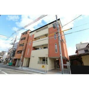 Room Image 2264700