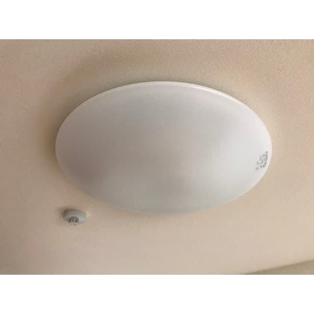 Room image 16