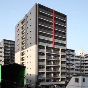 Main Image