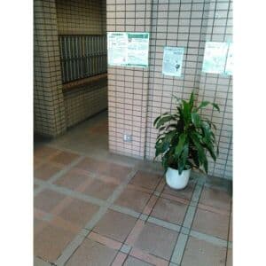 Room image 10