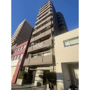 Main Image