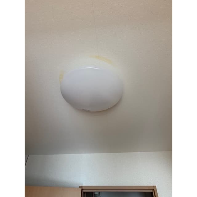 Room image 15