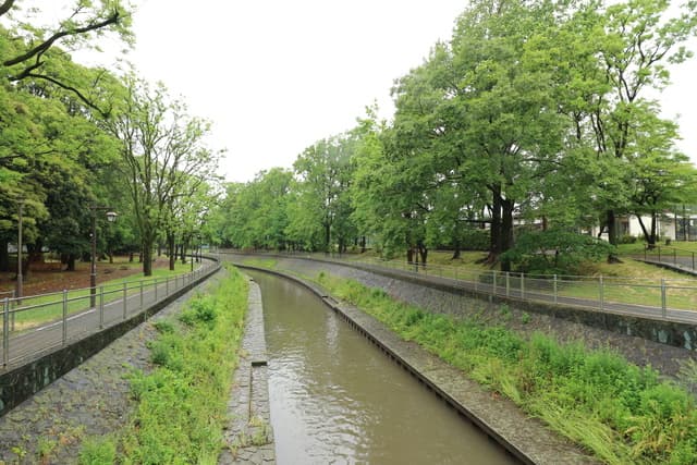 Room Image 203121815