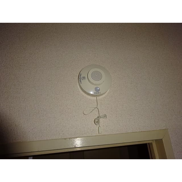 Room image 16