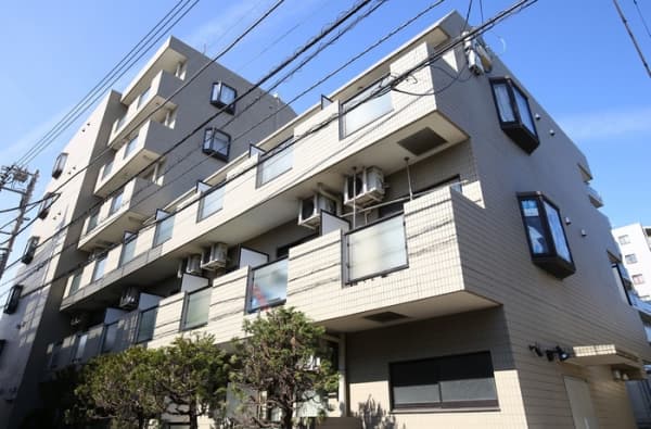 Room Image 203128850