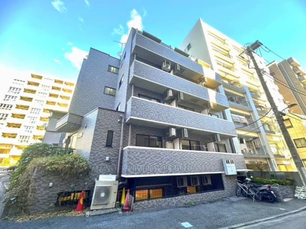 Room Image 203121385