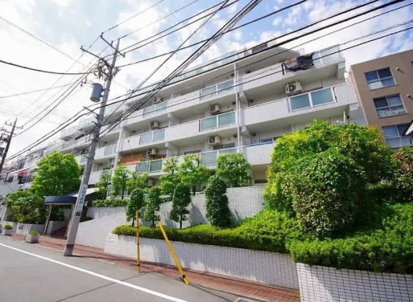 Room Image 203129579