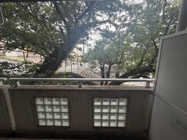 Room image 13