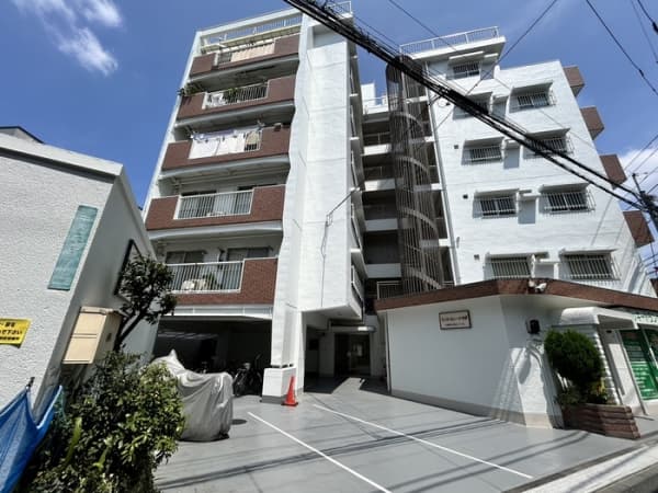 Room Image 203119605