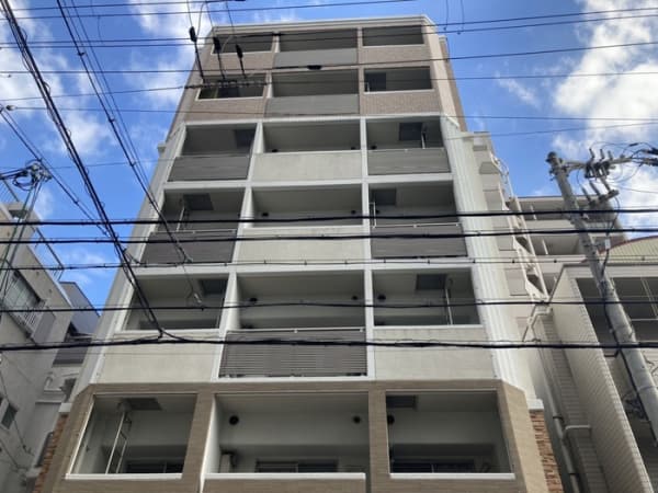Room Image 2269818