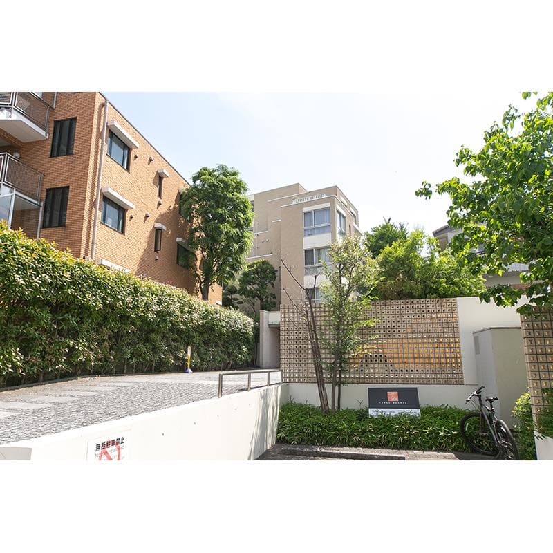 Room Image 11108395