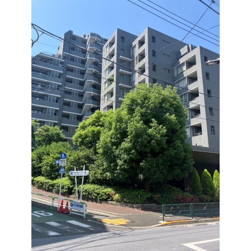 Room Image 11106229