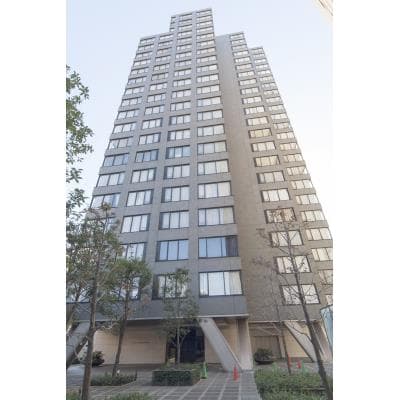 Room Image 11107847
