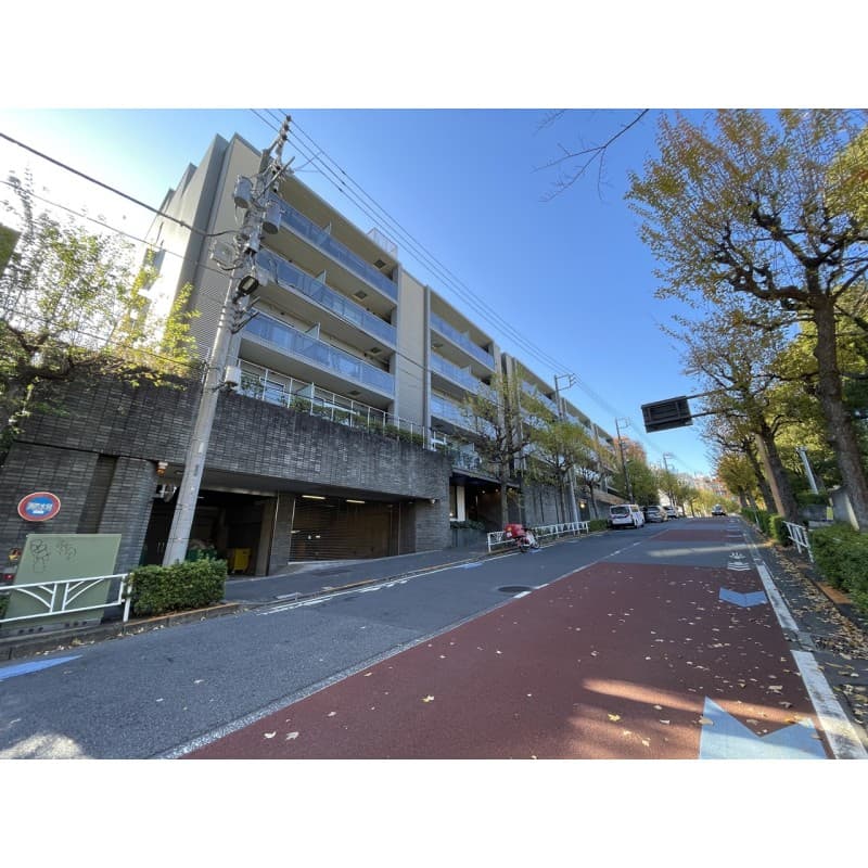 Room Image 11104779