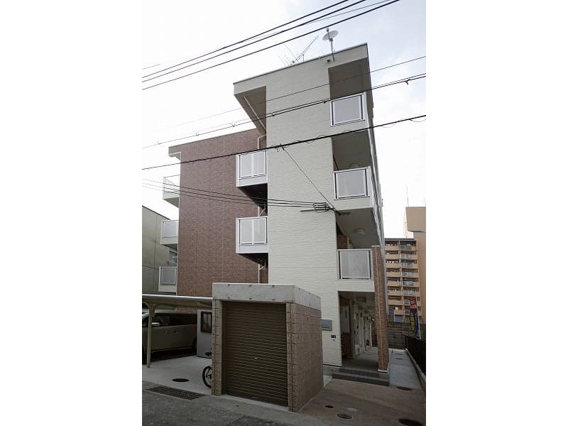 Room Image 1178259