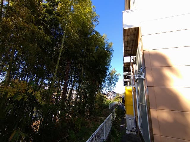 Room image 15