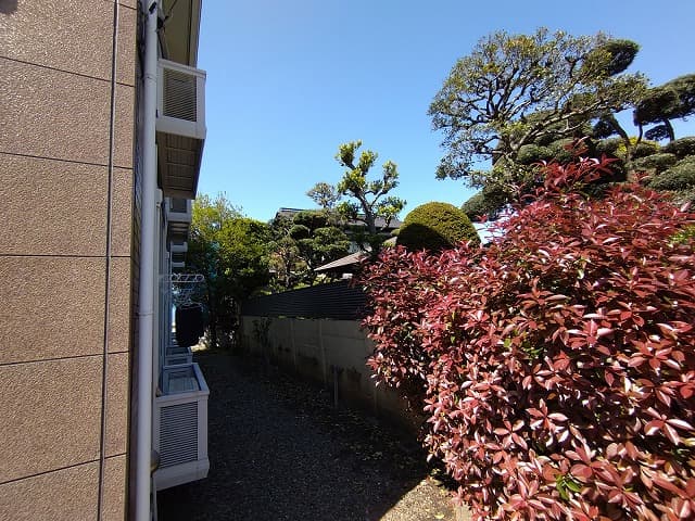 Room image 14
