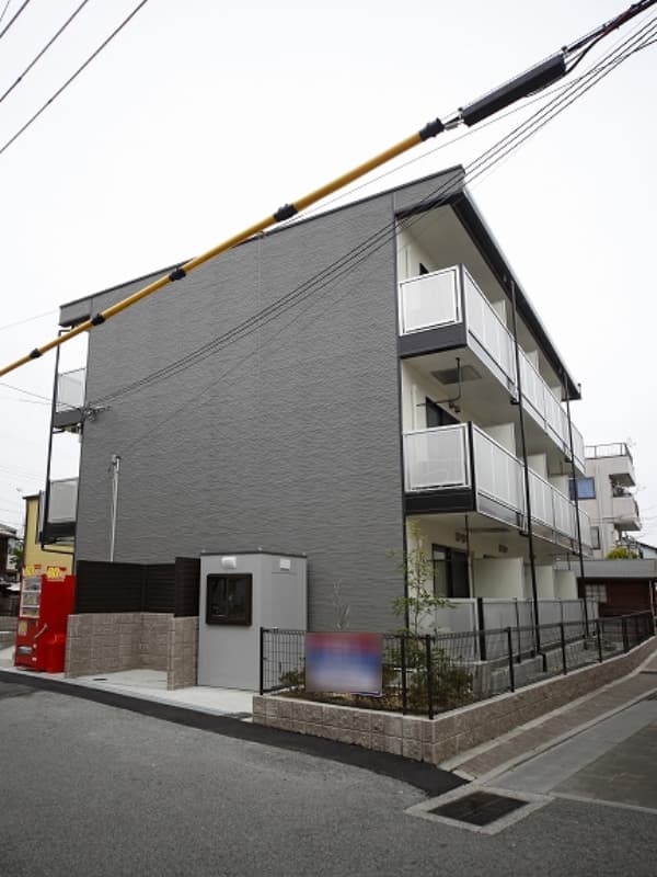 Room Image 1132025