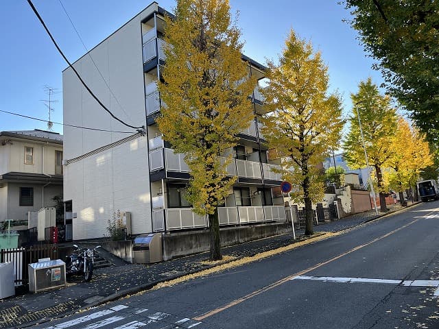 Room Image 1218528