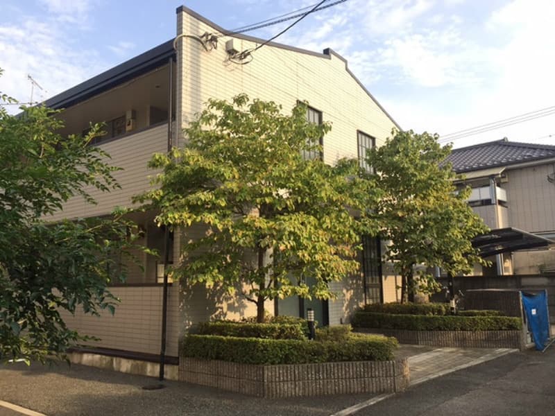 Room Image 1154749