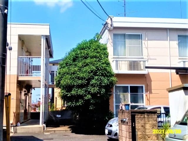 Room Image 1168980