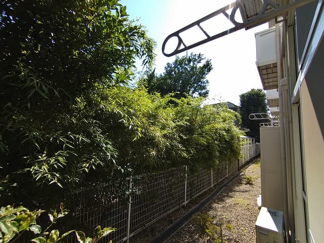 Room image 14