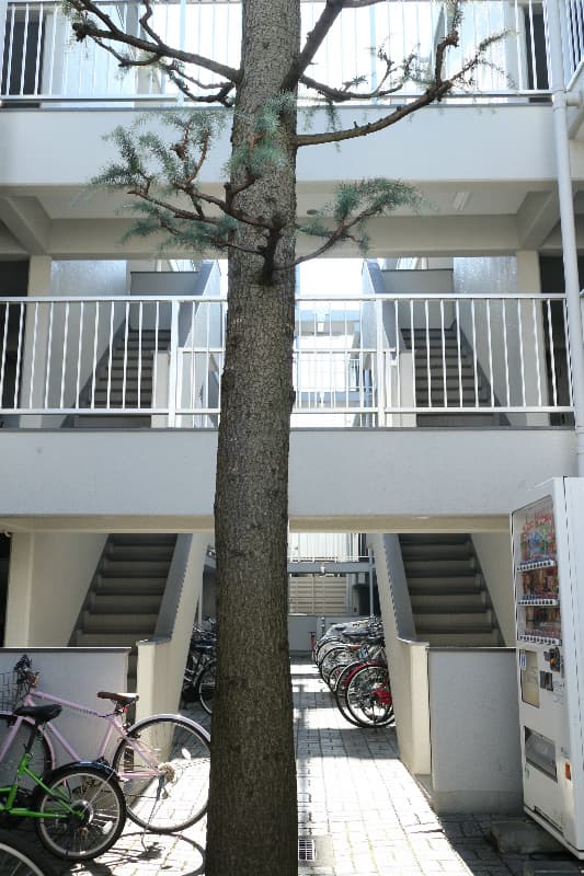 Room image 12