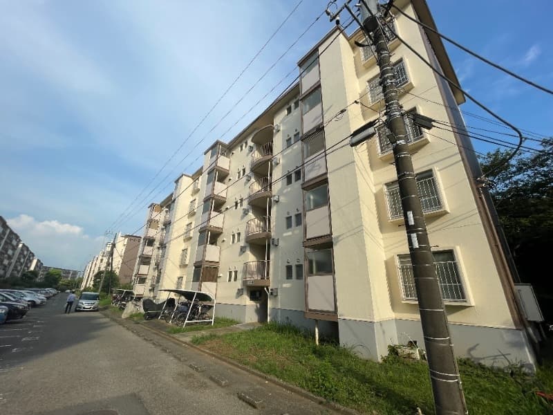 Room Image 13005897