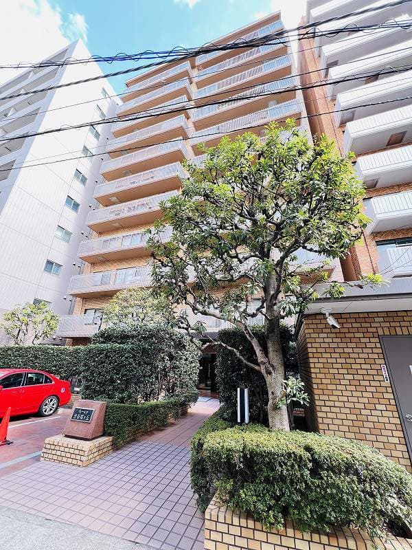 Room Image 16016767