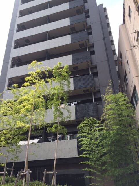 Room Image 16022638
