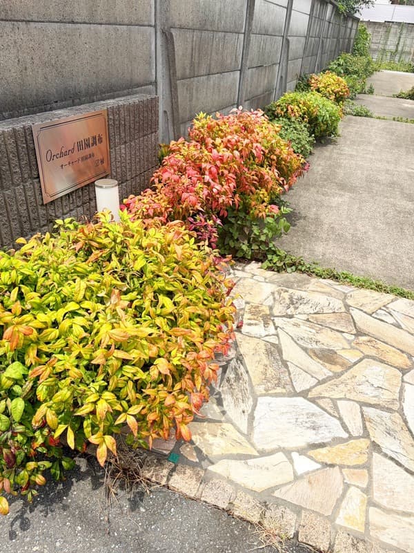 Room image 11