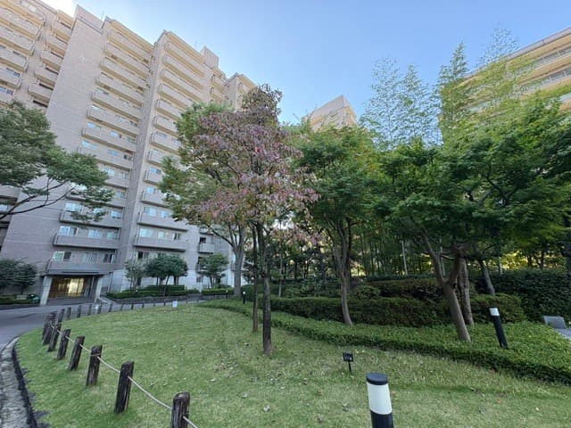 Room Image 16027859