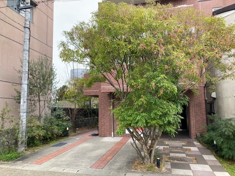 Room Image 19000092