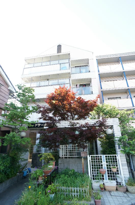 Room Image 19000140