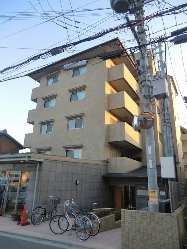 Room Image 19000287