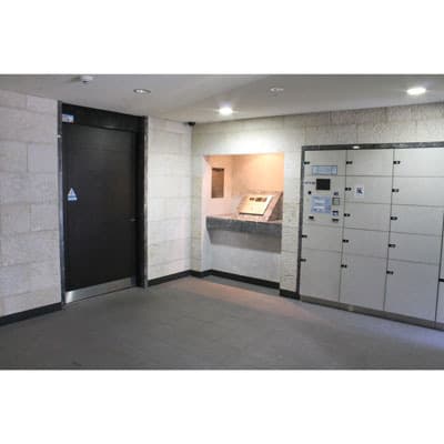 Preview interior of Phoenix Shiba Astrale