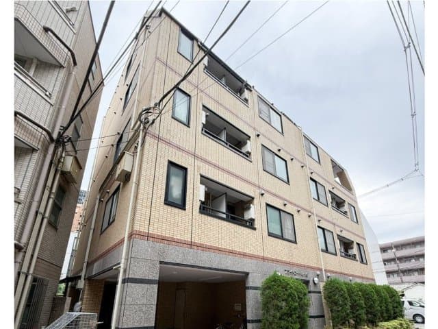 Room Image 50153309