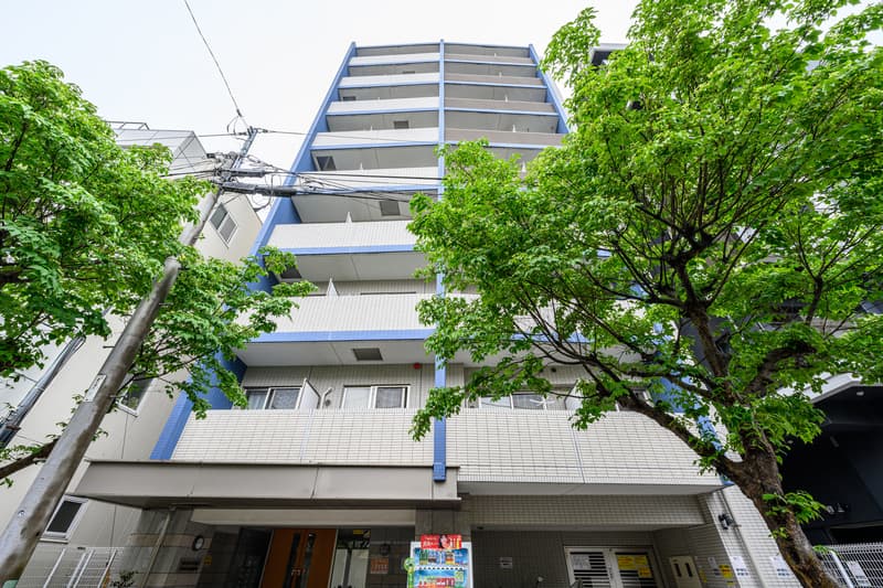 Main Image