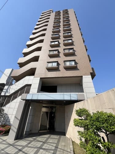 Main Image