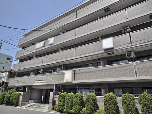 Main Image